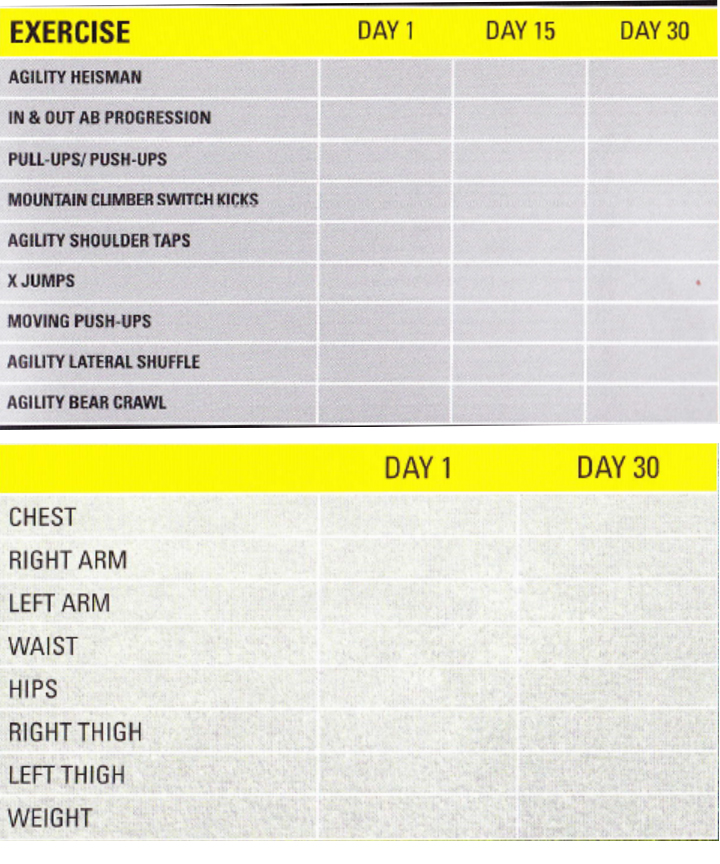 Insanity Workout Online Download